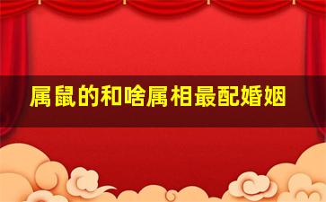 属鼠的和啥属相最配婚姻