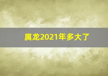 属龙2021年多大了