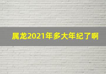 属龙2021年多大年纪了啊