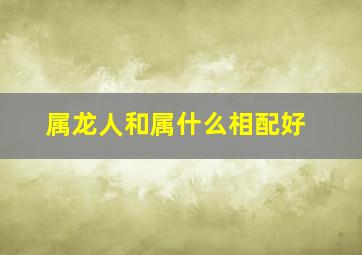 属龙人和属什么相配好