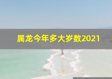 属龙今年多大岁数2021