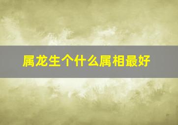 属龙生个什么属相最好