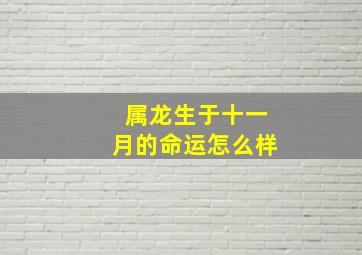 属龙生于十一月的命运怎么样