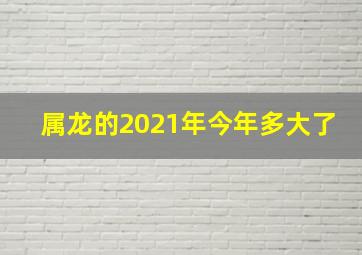 属龙的2021年今年多大了