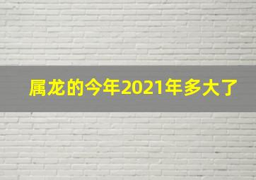 属龙的今年2021年多大了