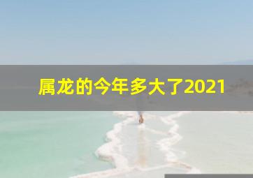 属龙的今年多大了2021