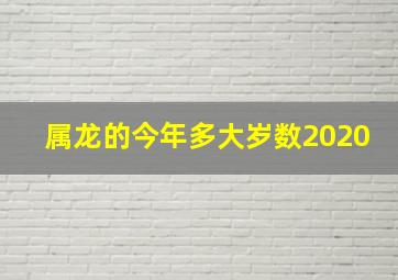 属龙的今年多大岁数2020