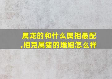 属龙的和什么属相最配,相克属猪的婚姻怎么样