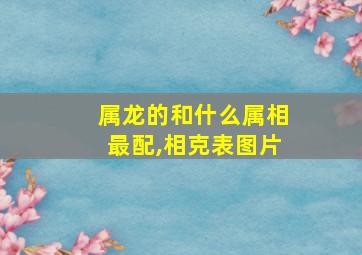 属龙的和什么属相最配,相克表图片