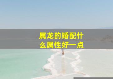 属龙的婚配什么属性好一点