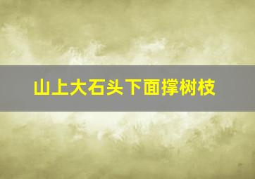 山上大石头下面撑树枝