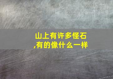 山上有许多怪石,有的像什么一样