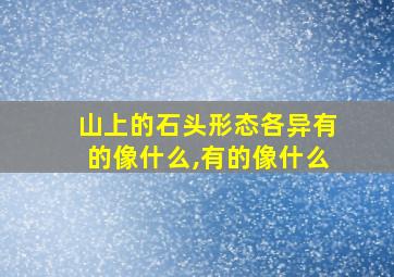 山上的石头形态各异有的像什么,有的像什么