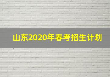 山东2020年春考招生计划