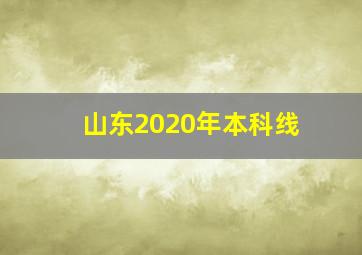 山东2020年本科线