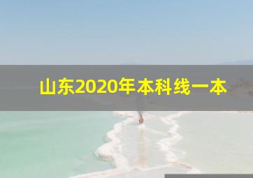 山东2020年本科线一本