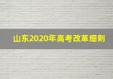 山东2020年高考改革细则