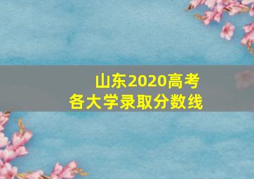 山东2020高考各大学录取分数线