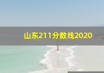 山东211分数线2020