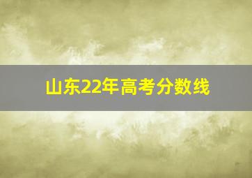 山东22年高考分数线