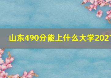 山东490分能上什么大学2021