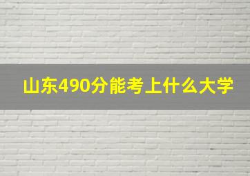 山东490分能考上什么大学