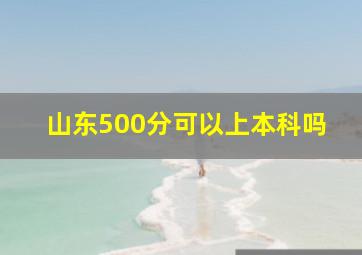 山东500分可以上本科吗