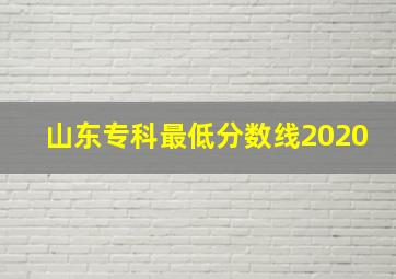 山东专科最低分数线2020