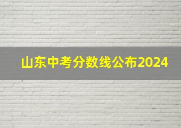 山东中考分数线公布2024