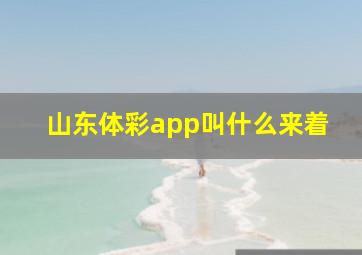 山东体彩app叫什么来着