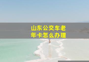 山东公交车老年卡怎么办理