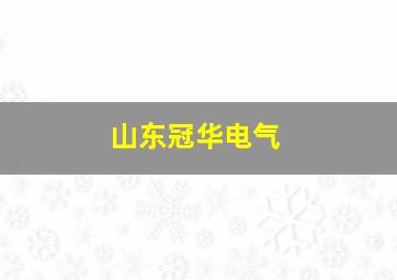 山东冠华电气