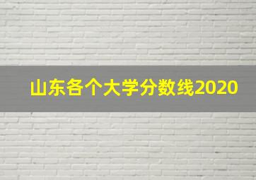 山东各个大学分数线2020