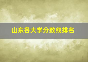 山东各大学分数线排名