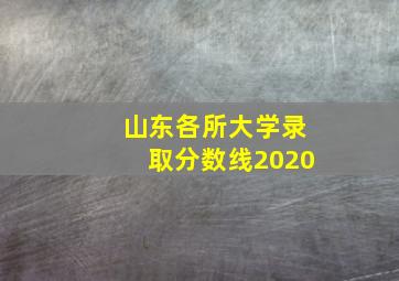 山东各所大学录取分数线2020