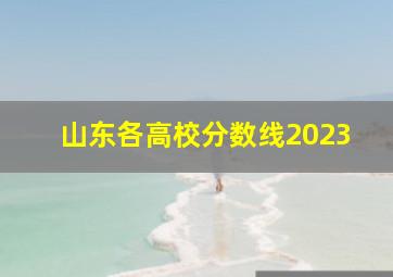 山东各高校分数线2023