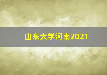 山东大学河南2021