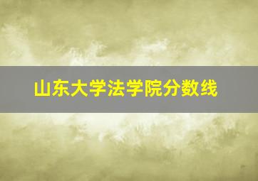 山东大学法学院分数线