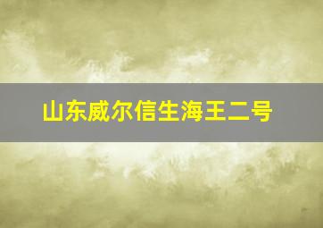 山东威尔信生海王二号