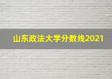 山东政法大学分数线2021