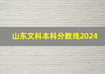 山东文科本科分数线2024