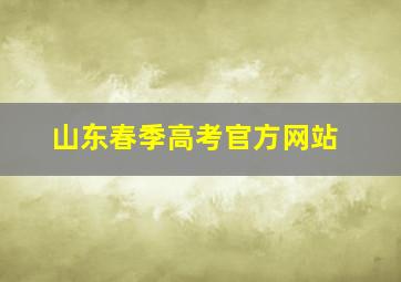 山东春季高考官方网站