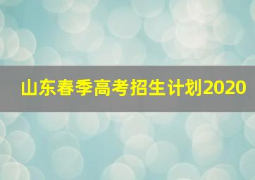 山东春季高考招生计划2020