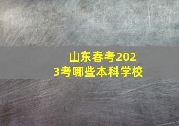 山东春考2023考哪些本科学校