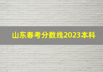 山东春考分数线2023本科