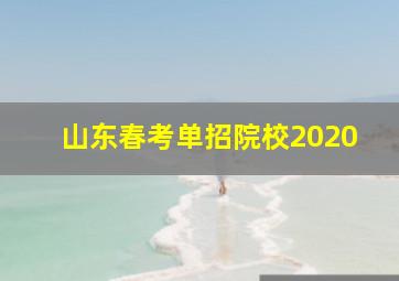 山东春考单招院校2020