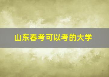 山东春考可以考的大学