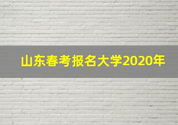 山东春考报名大学2020年