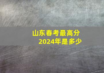 山东春考最高分2024年是多少