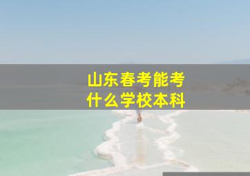 山东春考能考什么学校本科